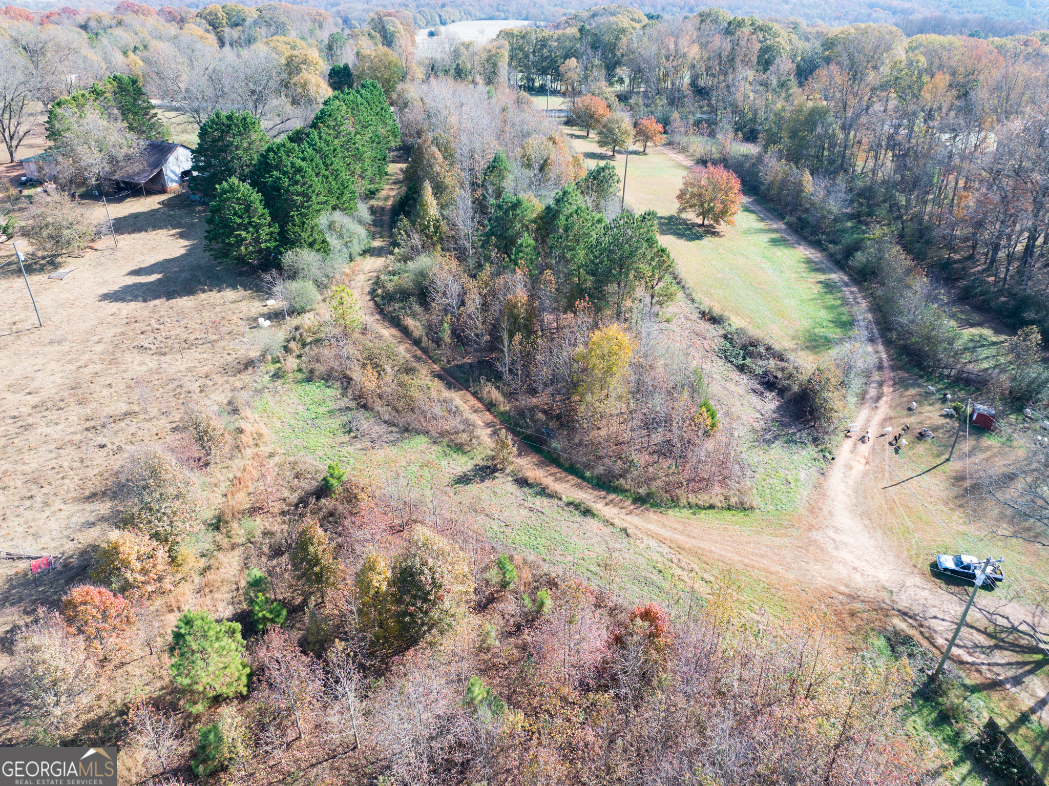 6.98-acres New Franklin Church Road Canon, GA 30520 - Photo 2 of 14 a view of a yard with plants and large trees