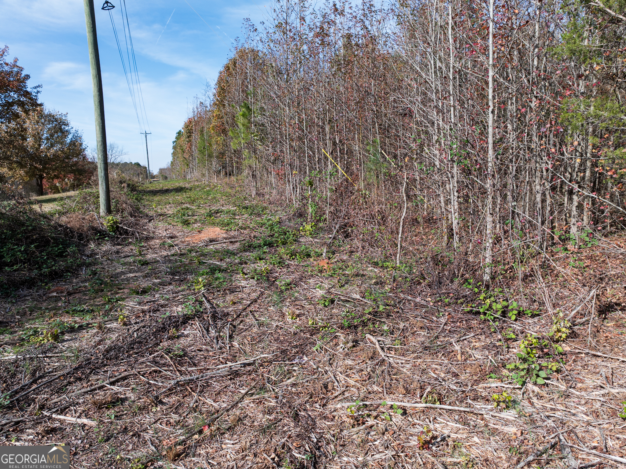 6.98-acres New Franklin Church Road Canon, GA 30520 - Photo 8 of 14 a view of a yard with a tree