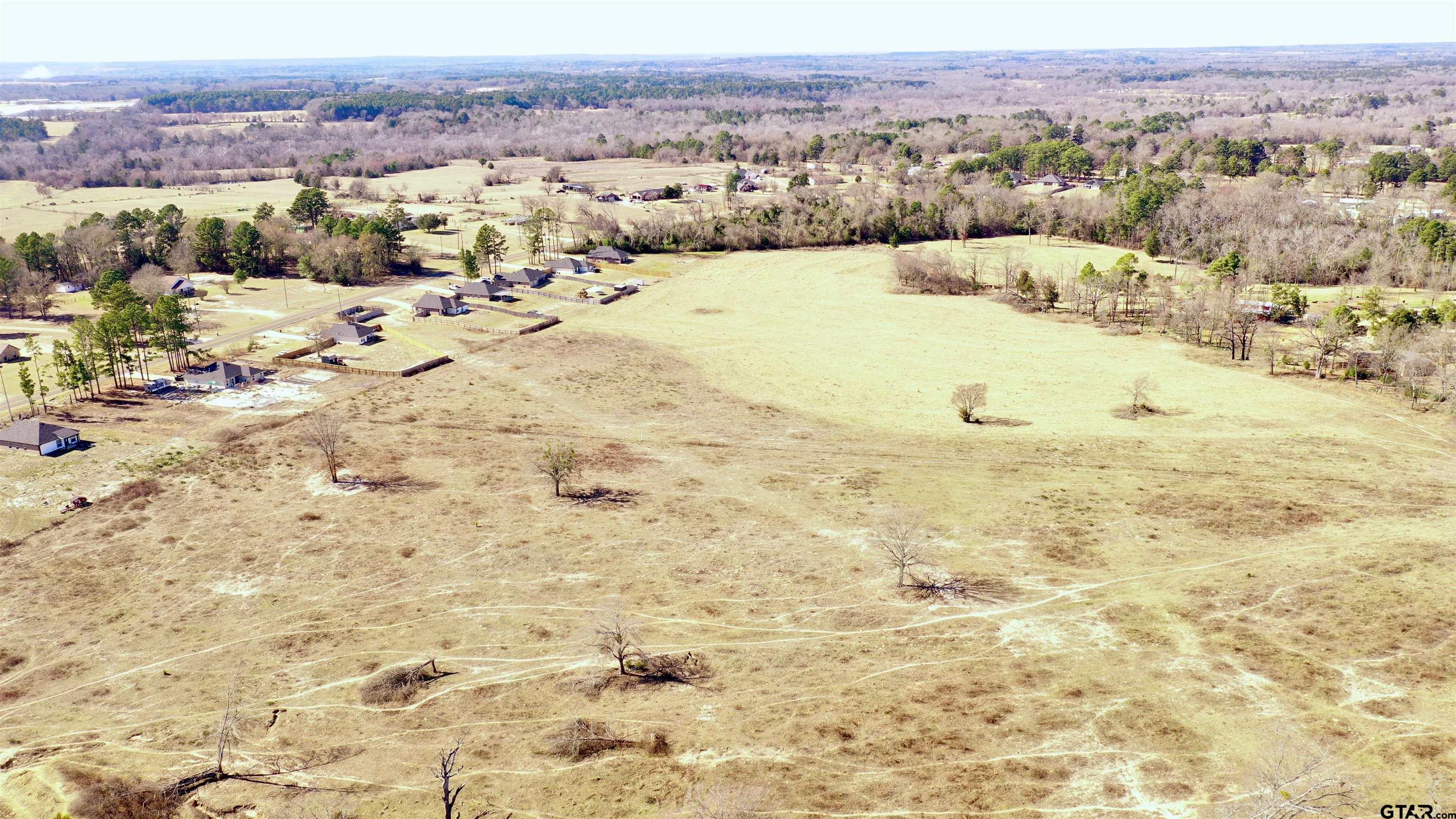 Two County Road 46 Tyler, TX 75704 - Photo 1 of 2 a view of lake view and mountain view