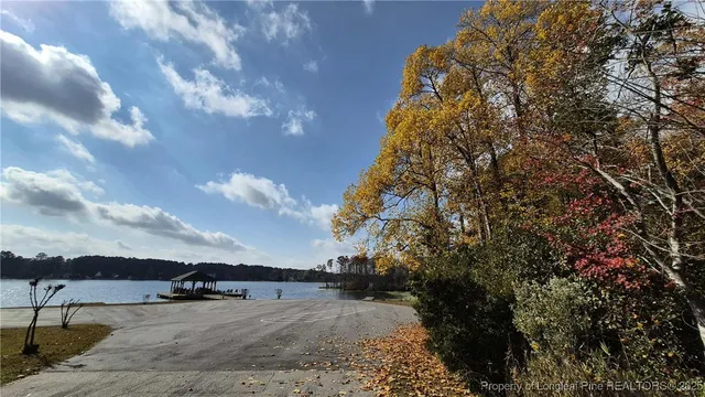 a view of a yard in front of the house