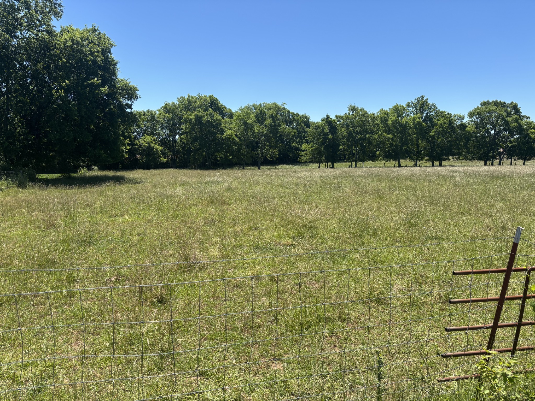 10171 Rockvale Road Rockvale, TN 37153 - Photo 10 of 11 a view of a yard