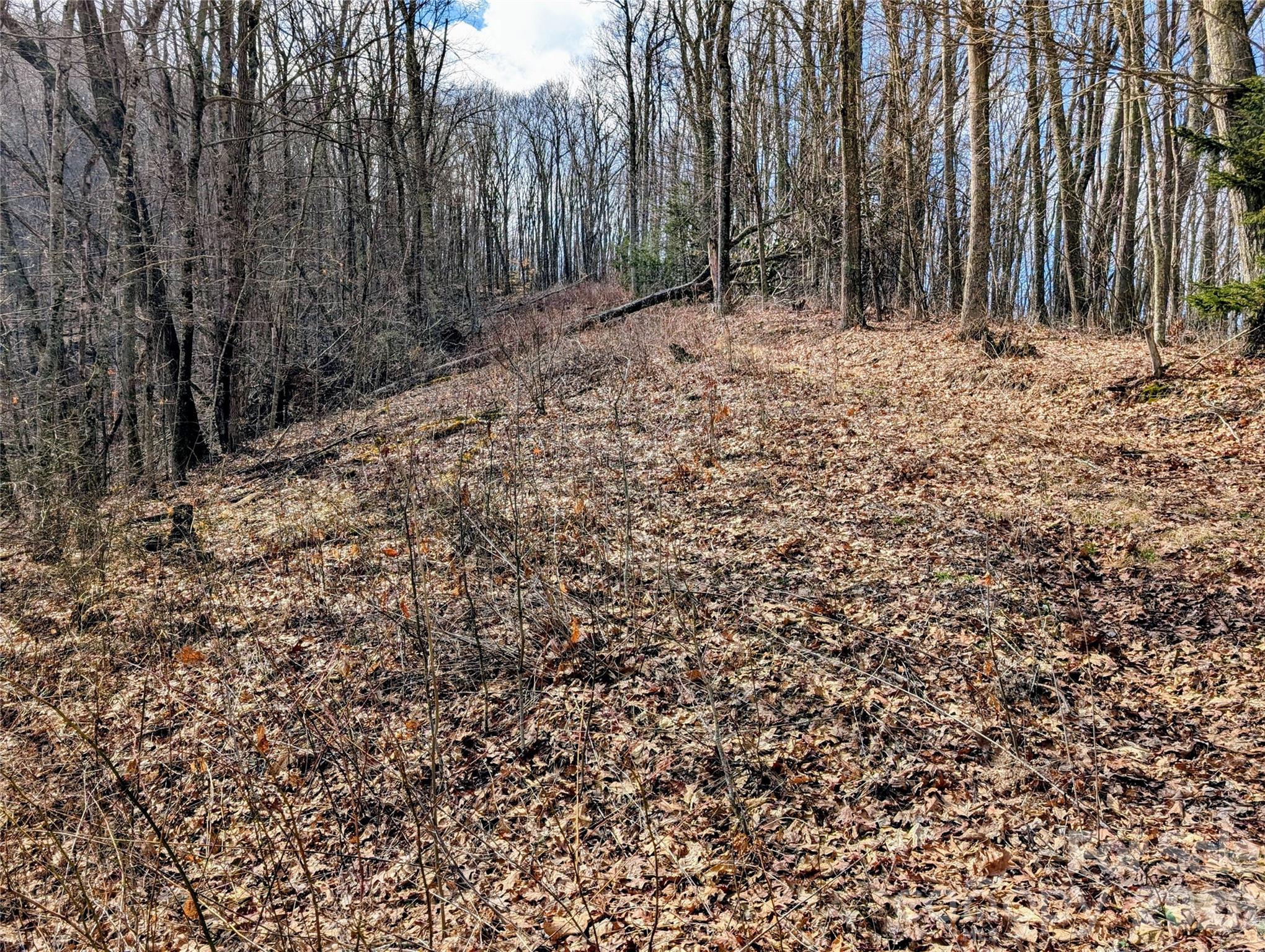 49 Hazel Top Section Teaberry Ridge Road Waynesville, NC 28786 - Photo 12 of 12 Gallery Image 12