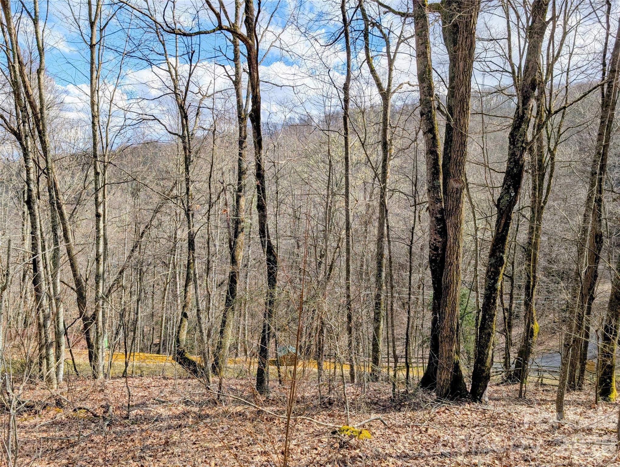 49 Hazel Top Section Teaberry Ridge Road Waynesville, NC 28786 - Photo 2 of 12 Gallery Image 2
