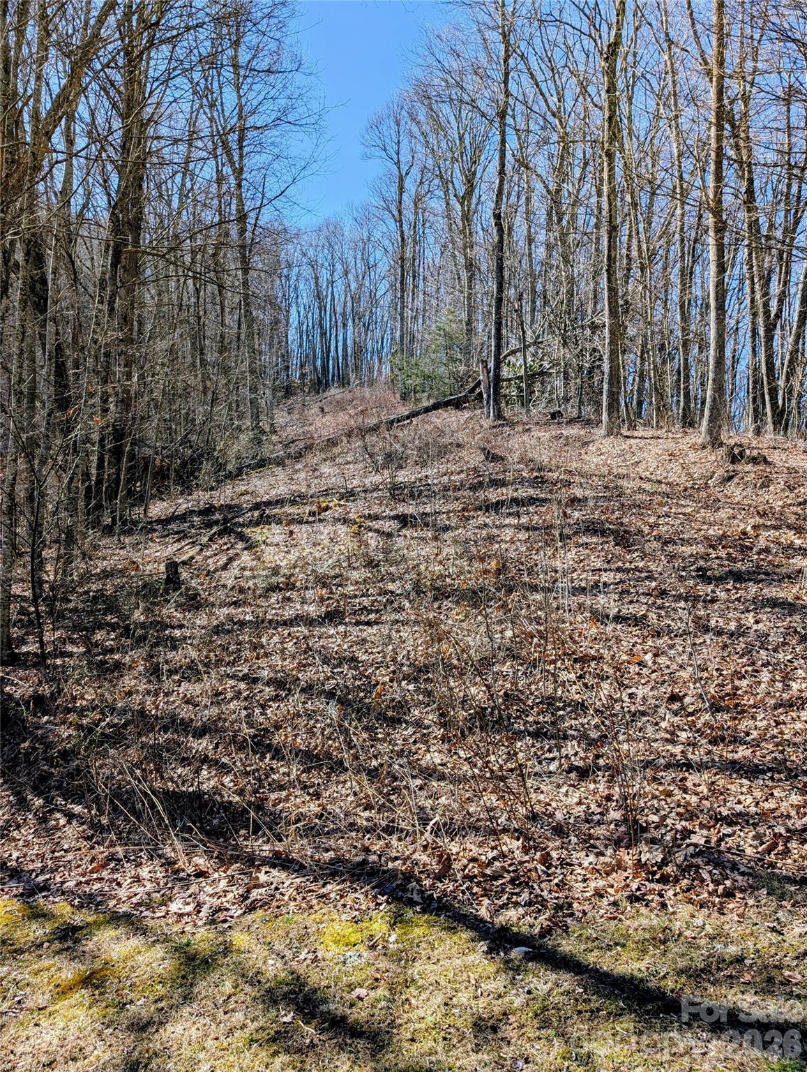 49 Hazel Top Section Teaberry Ridge Road Waynesville, NC 28786 - Photo 3 of 12 Gallery Image 3