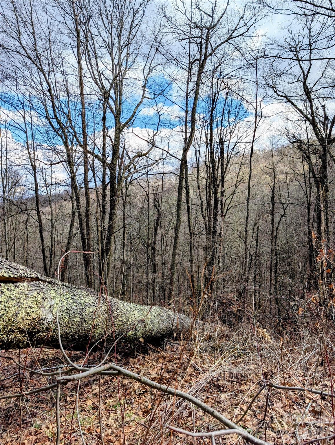 49 Hazel Top Section Teaberry Ridge Road Waynesville, NC 28786 - Photo 6 of 12 Gallery Image 6