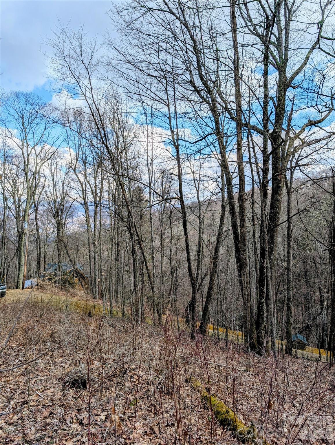 49 Hazel Top Section Teaberry Ridge Road Waynesville, NC 28786 - Photo 7 of 12 Gallery Image 7
