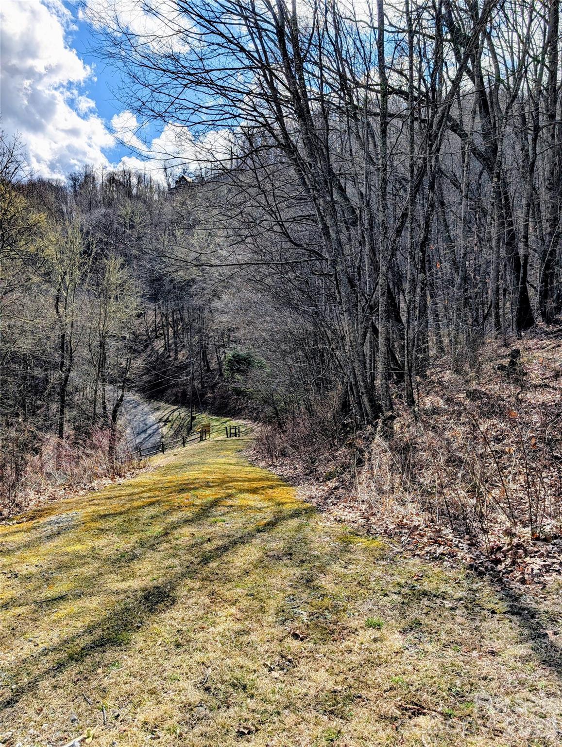 49 Hazel Top Section Teaberry Ridge Road Waynesville, NC 28786 - Photo 9 of 12 Gallery Image 9