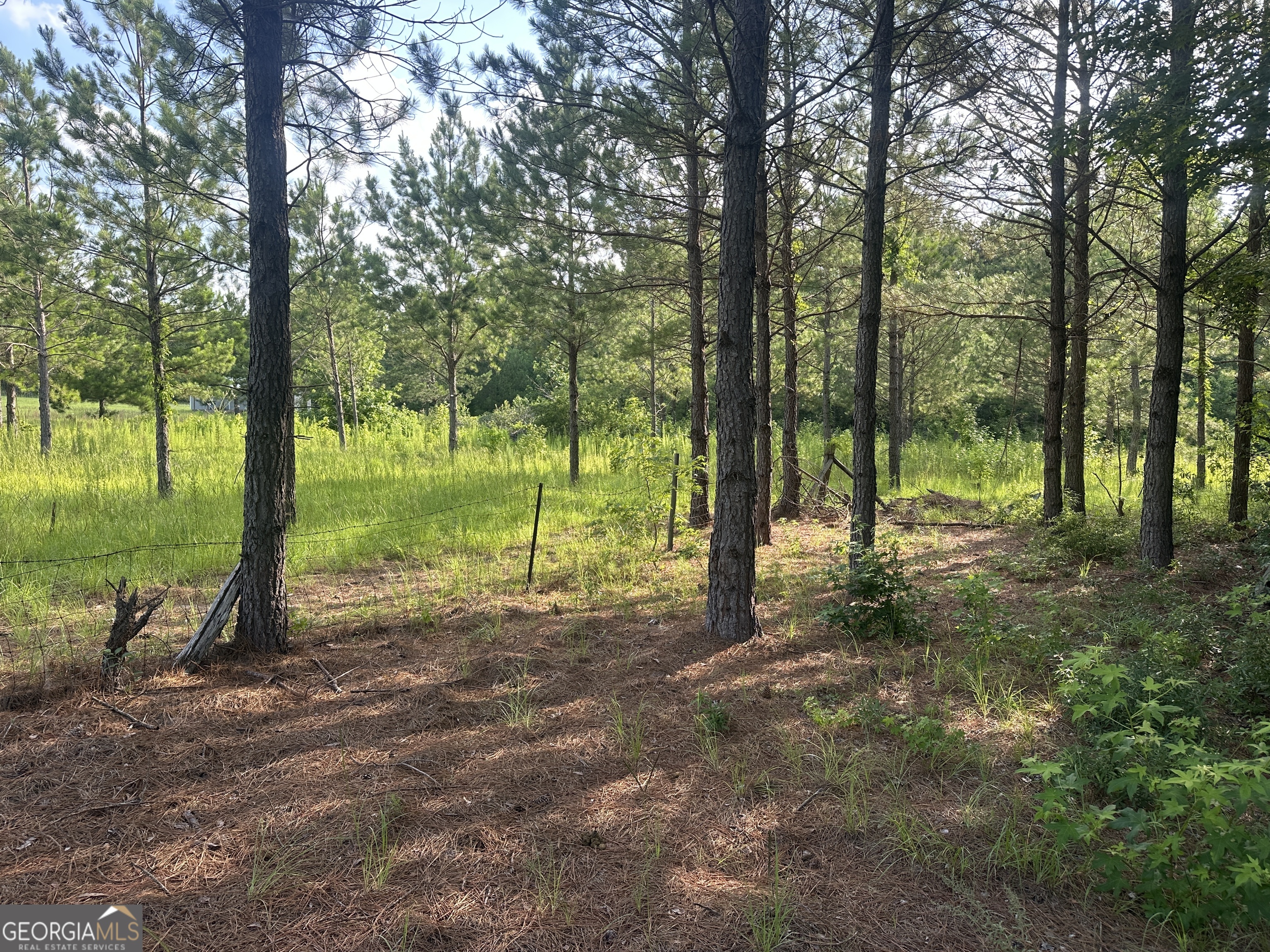 900 Habersham Church Road Waynesboro, GA 30830 - Photo 4 of 7