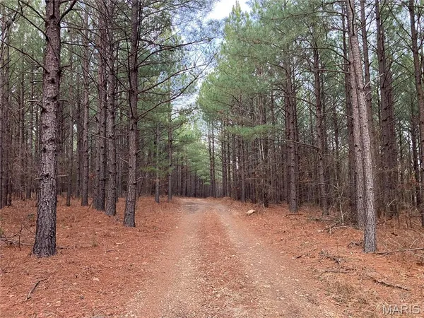 $31,995 | 217 Madison Street, Fredericktown, MO 63645