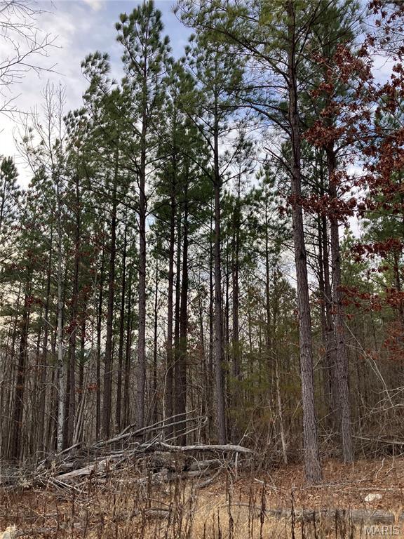 217 Madison Street Fredericktown, MO 63645 - Photo 2 of 4