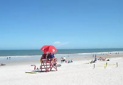 a view of river covered by trees and snow