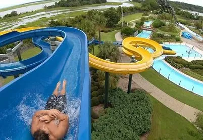 a view of a street with a large tree
