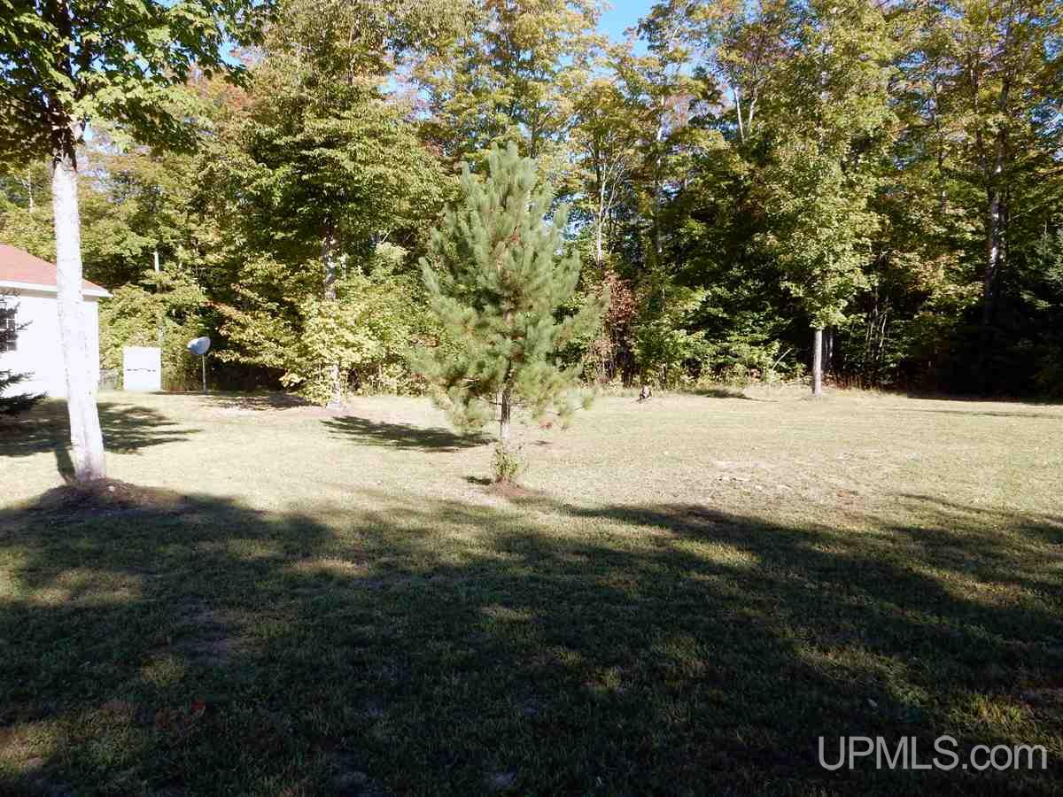 6015 Corinne Road Gould City, MI 49838 - Photo 6 of 22