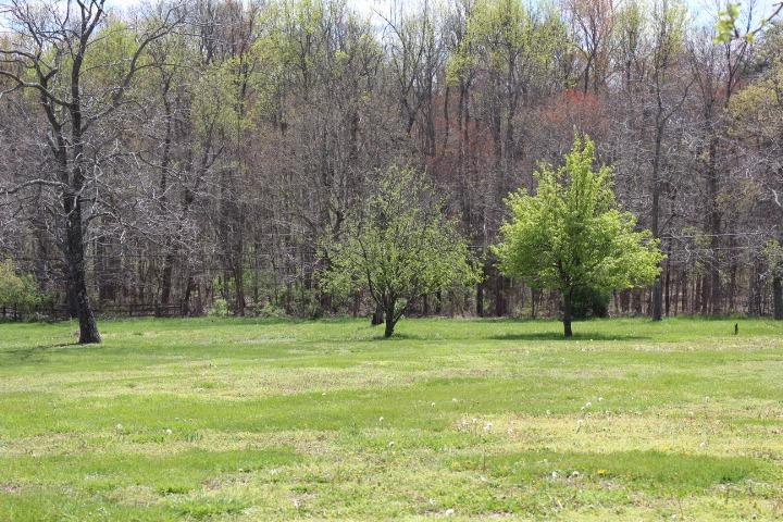 302 Opossum Kingdom Road Berea, KY 40403 - Photo 29 of 34 Photo 29