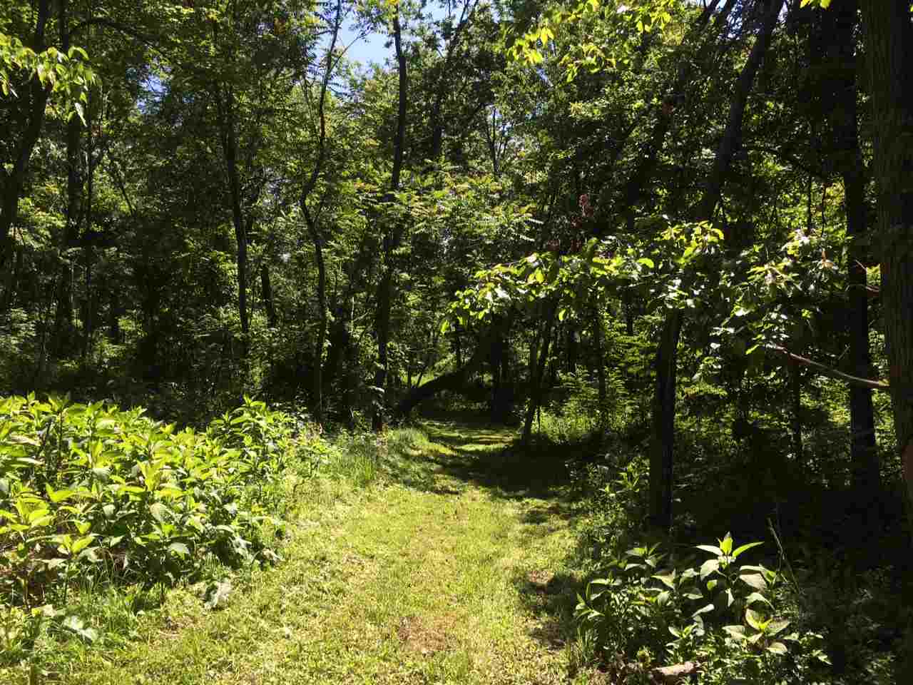 1 Wampler Road Broadway, VA 22815 - Photo 11 of 15 a view of a garden