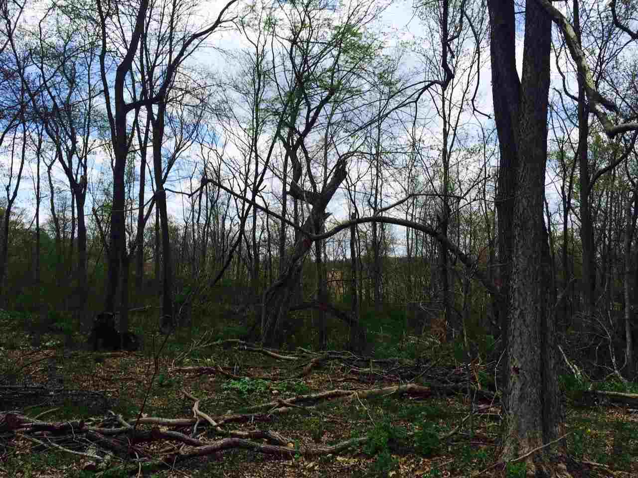 1 Wampler Road Broadway, VA 22815 - Photo 12 of 15 a view of outdoor space and yard