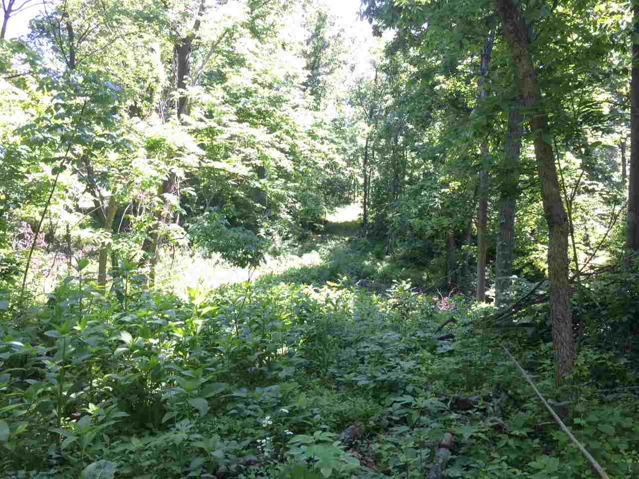 1 Wampler Road Broadway, VA 22815 - Photo 14 of 15 a view of a tree in a yard