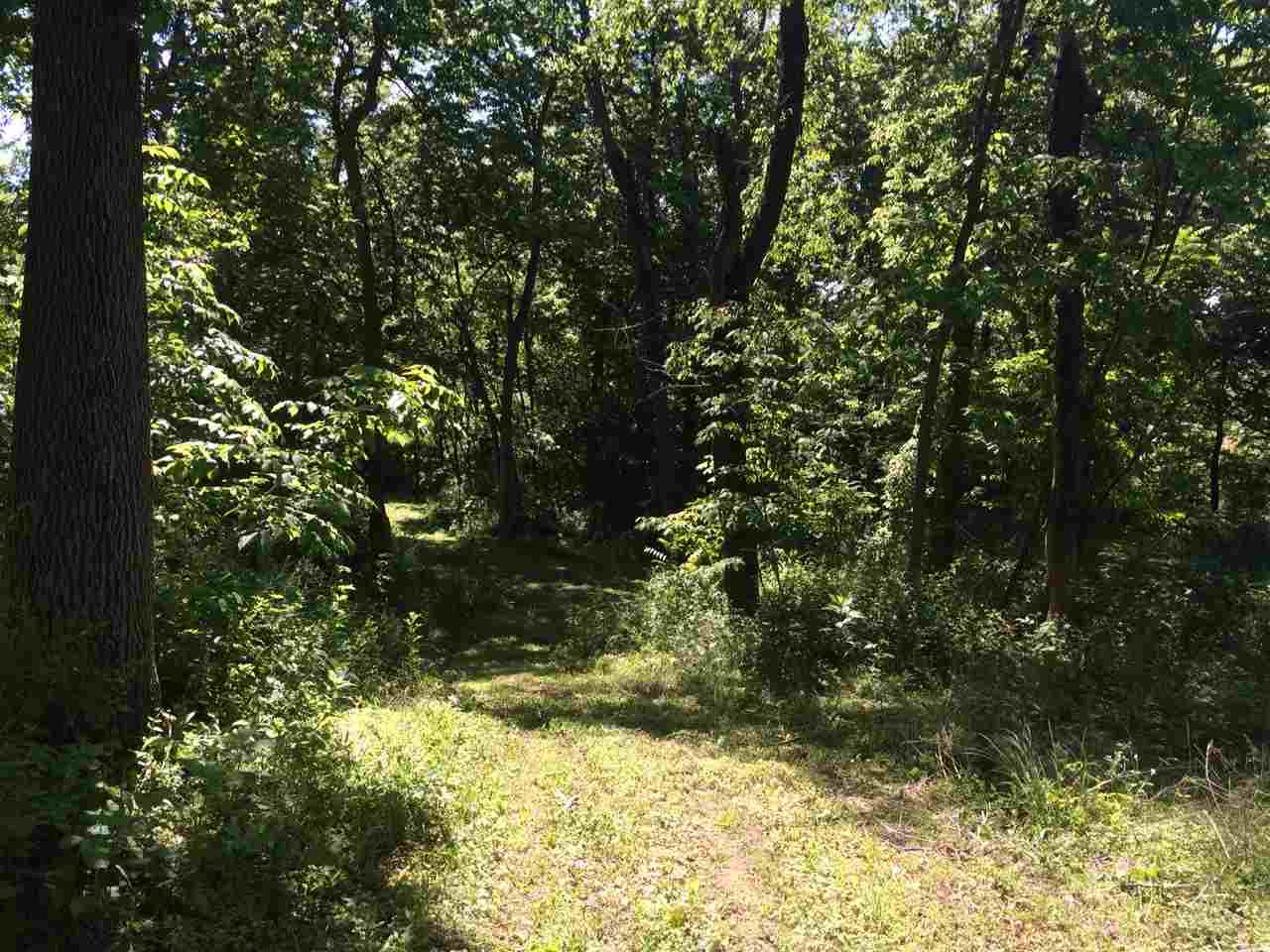 1 Wampler Road Broadway, VA 22815 - Photo 15 of 15 a view of tree