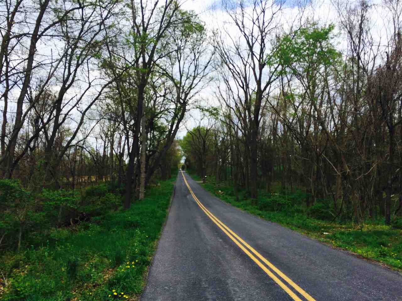 1 Wampler Road Broadway, VA 22815 - Photo 2 of 15 a view of a street with a yard and a large tree