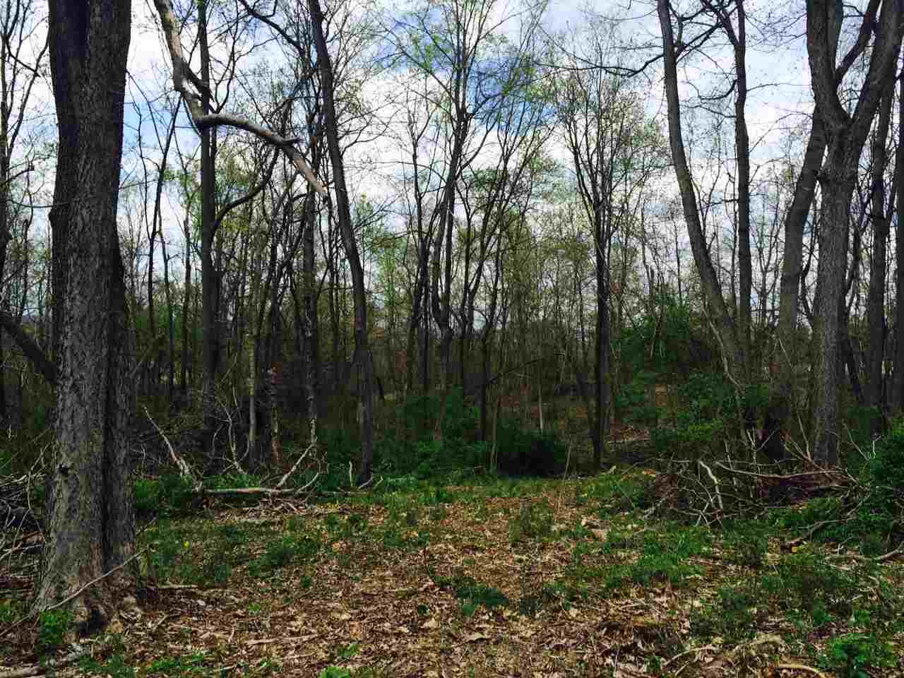 1 Wampler Road Broadway, VA 22815 - Photo 3 of 15 a view of outdoor space and yard