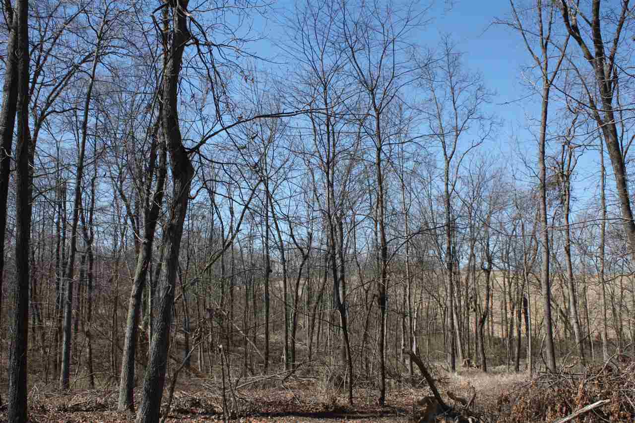 1 Wampler Road Broadway, VA 22815 - Photo 4 of 15 a view of a yard