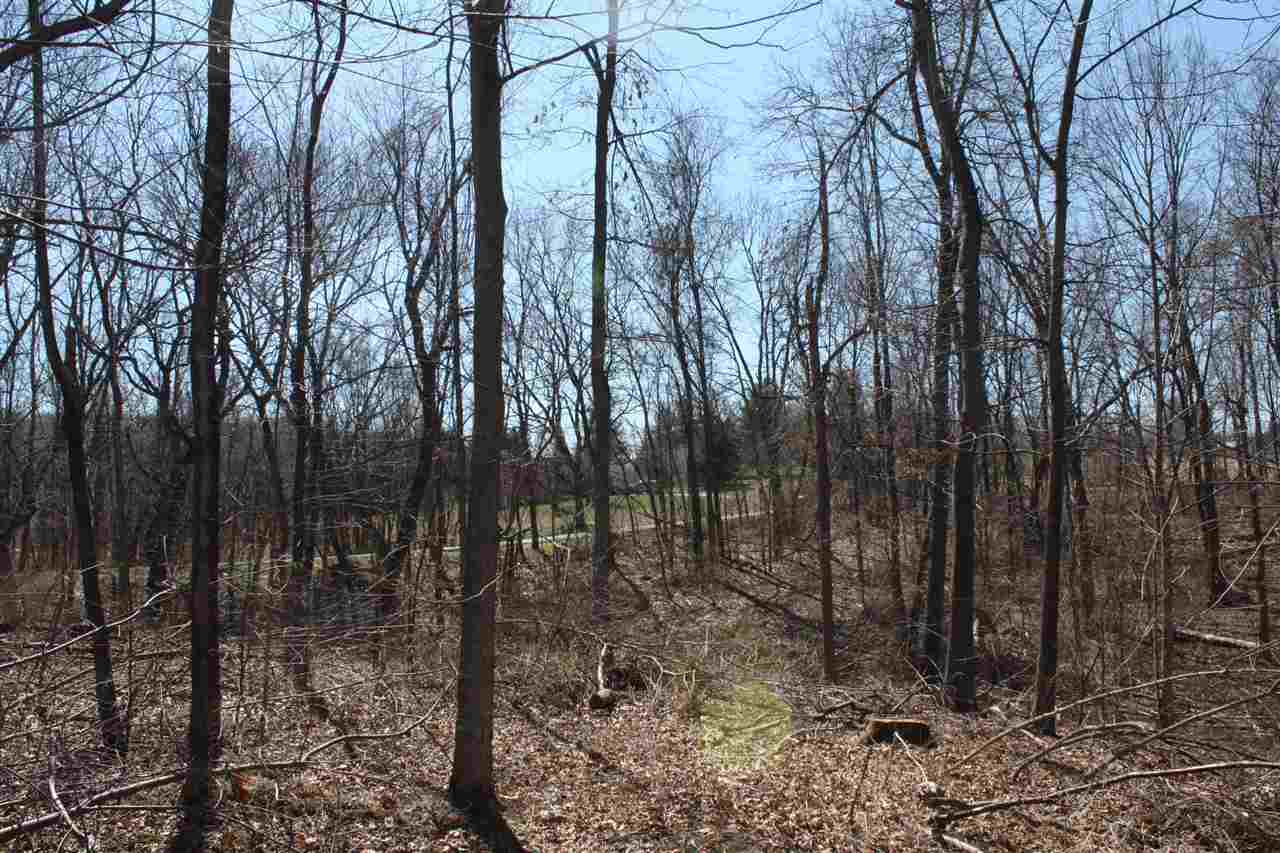 1 Wampler Road Broadway, VA 22815 - Photo 5 of 15 a view of outdoor space and yard