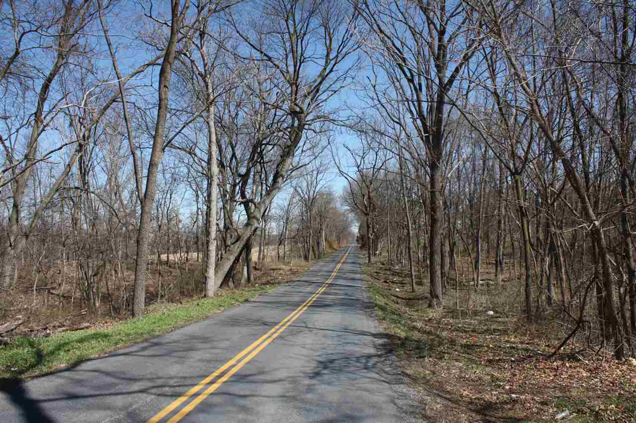 1 Wampler Road Broadway, VA 22815 - Photo 7 of 15 a view of a yard with trees