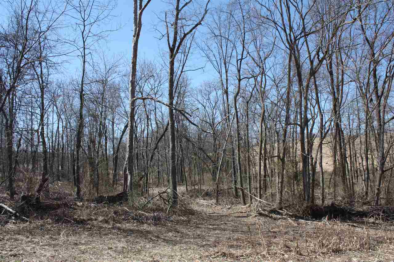 1 Wampler Road Broadway, VA 22815 - Photo 8 of 15 a backyard of a house with lots of green space