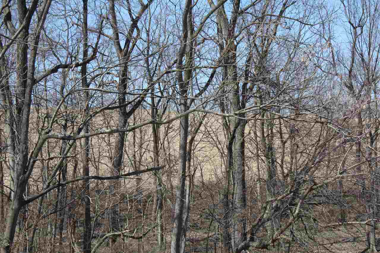 1 Wampler Road Broadway, VA 22815 - Photo 9 of 15 a view of a yard with a tree