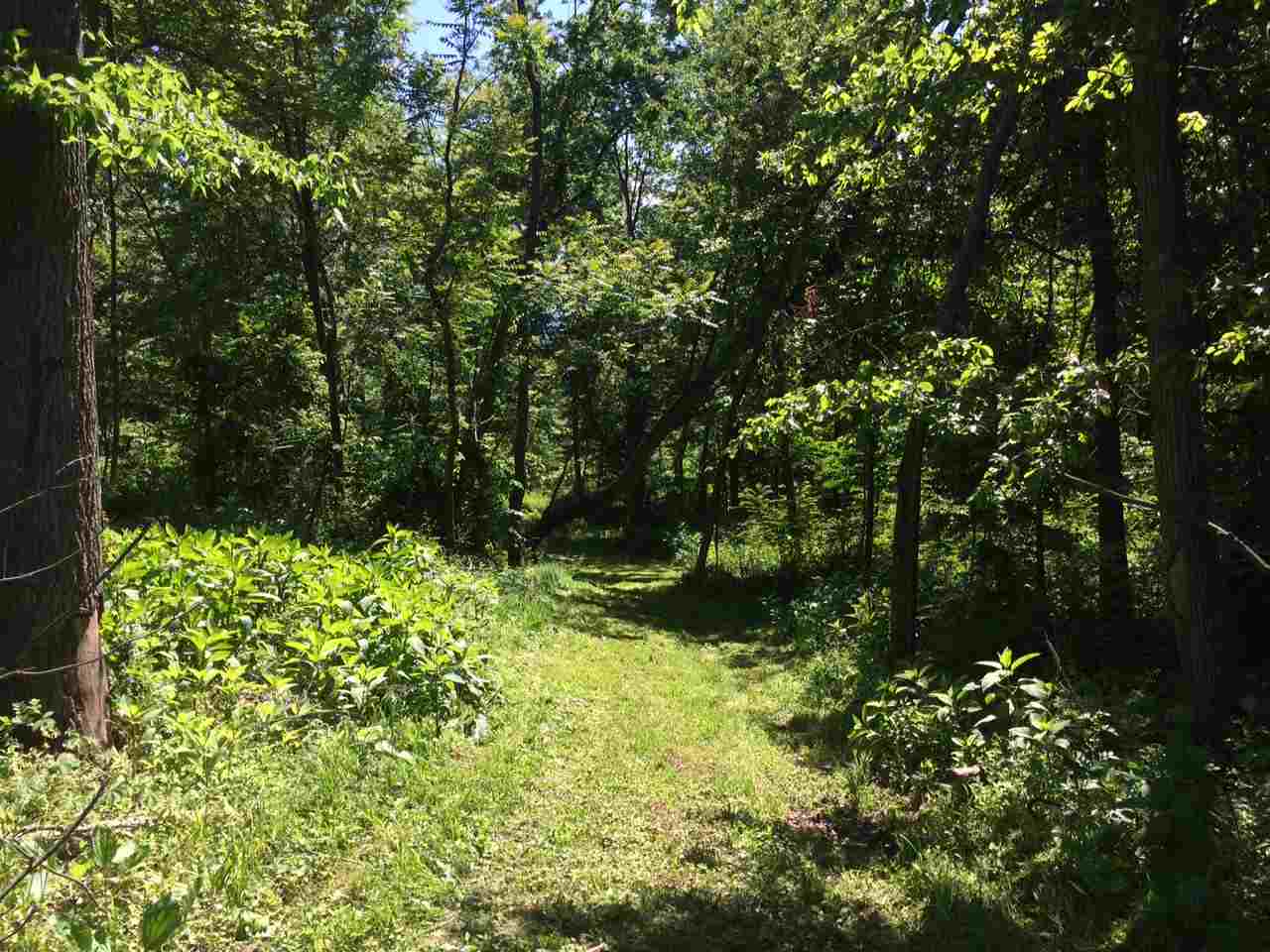 1 Wampler Road Broadway, VA 22815 - Photo 10 of 15 a view of a garden