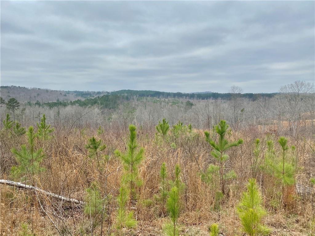 1068 Suttles Road Martin, GA 30557 - Photo 1 of 1 Gallery Image 1
