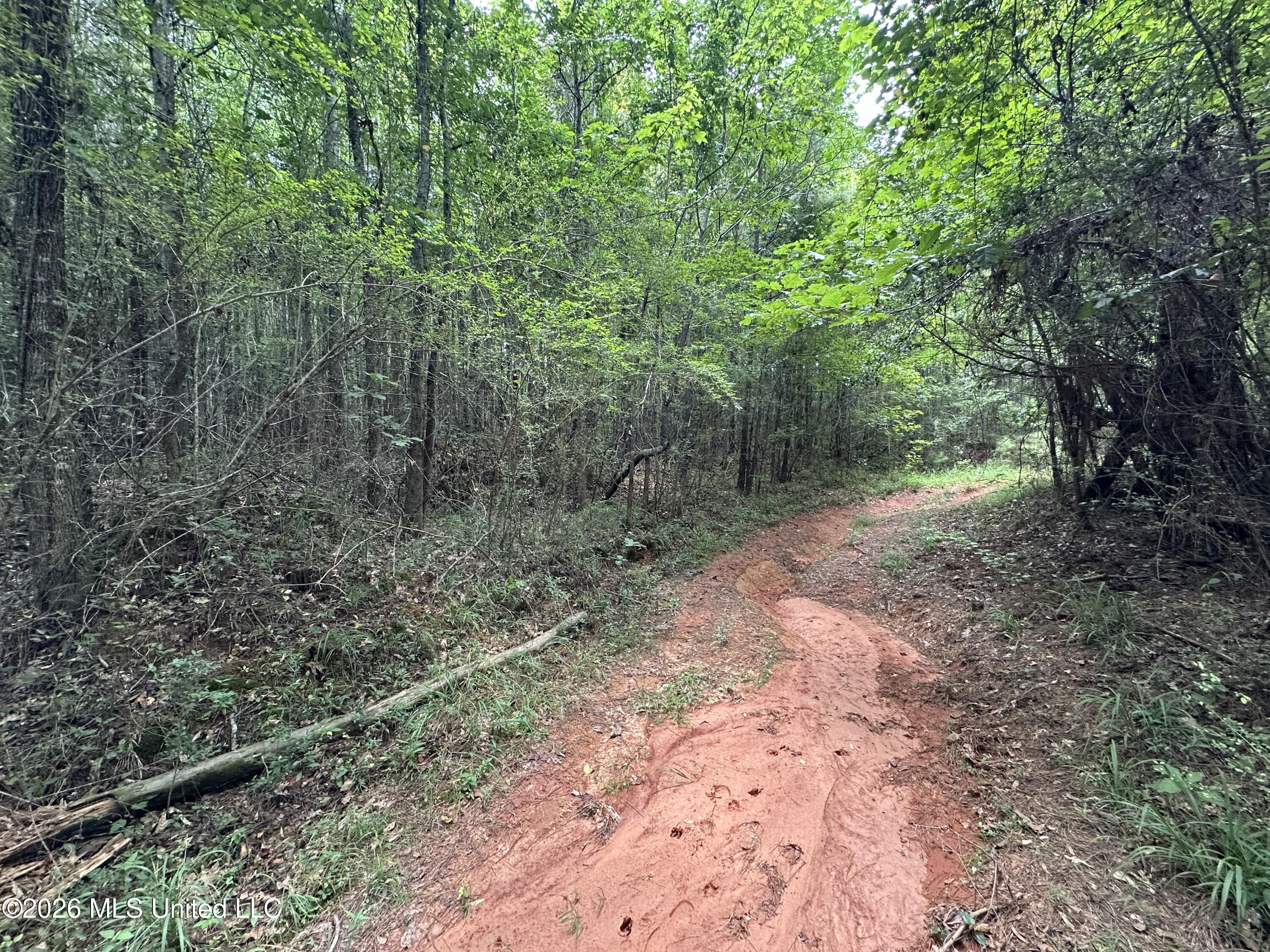 Smith County Road Pulaski, MS 39152 - Photo 32 of 47 IMG_7021