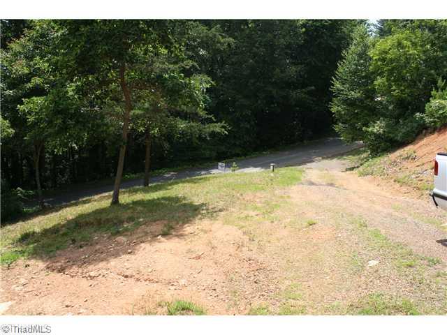 1203 Baltimore Road Hillsville, VA 24343 - Photo 13 of 13 Land/Lot. Drive