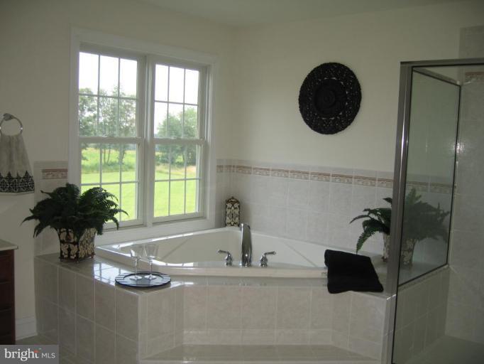 3350 Level Road Churchville, MD 21028 - Photo 20 of 21 Master Tub