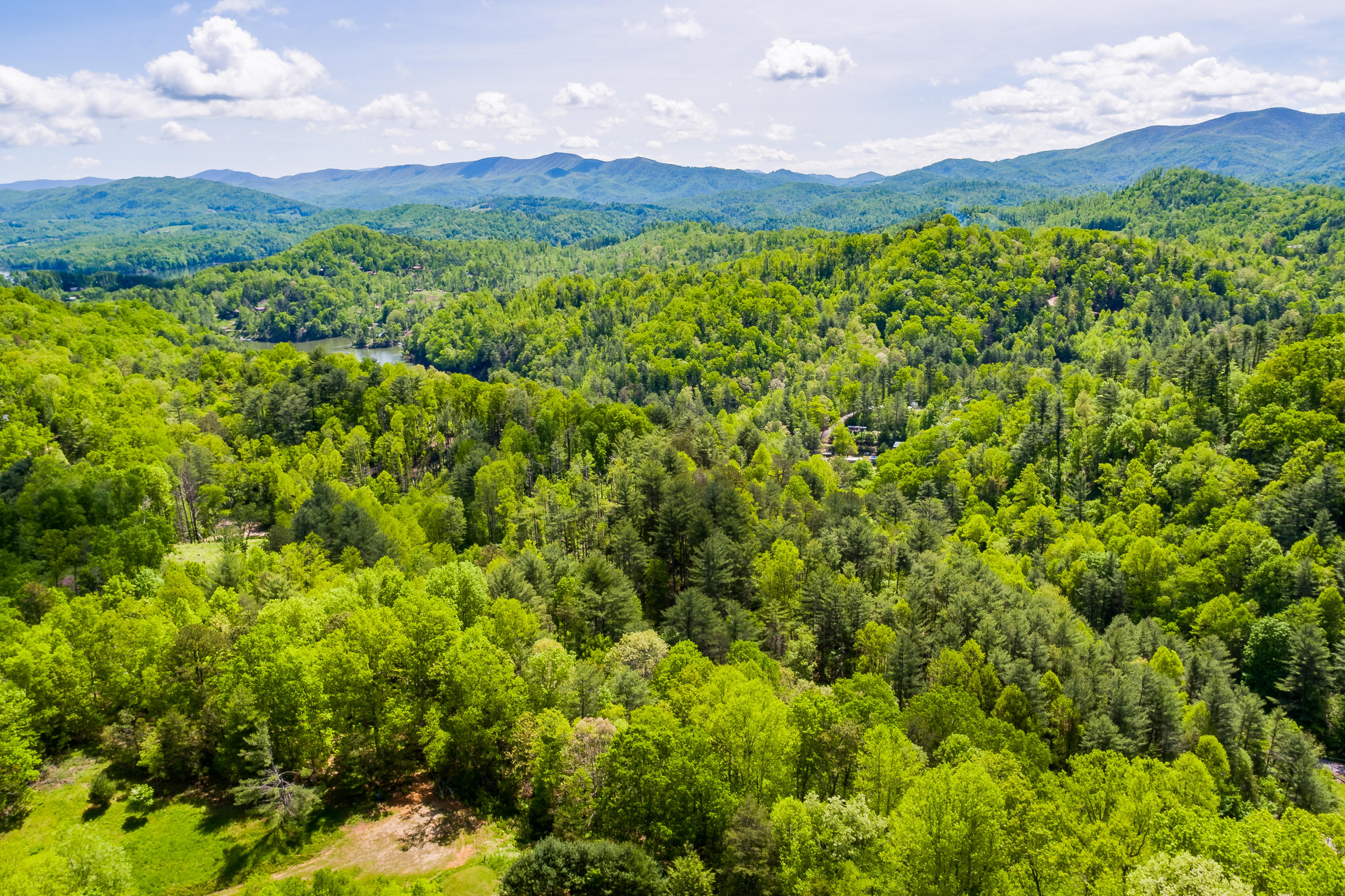 Lot 9 Canaan Road, Unit 9 Butler, TN 37640 - Photo 1 of 31 1.5