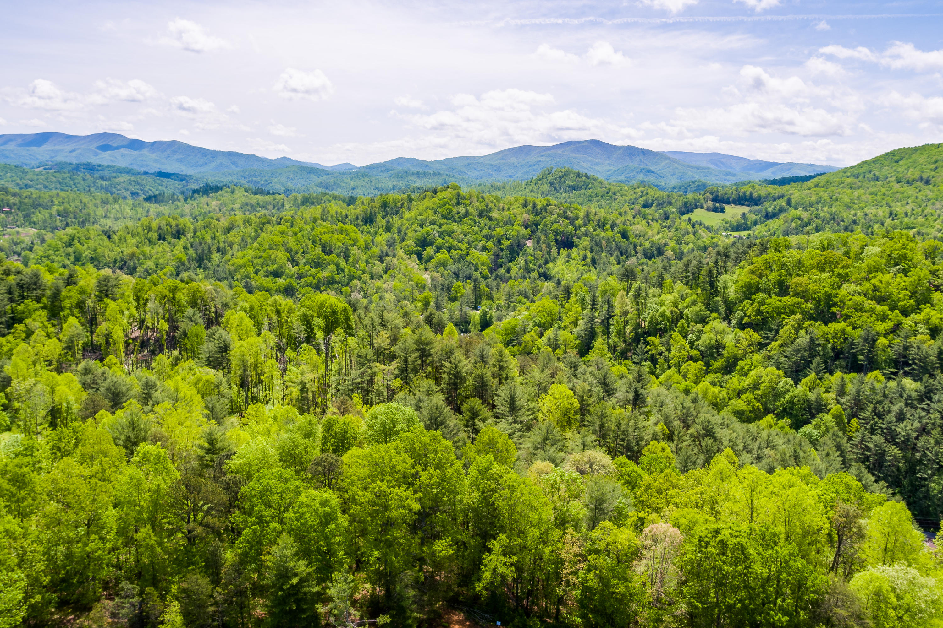 Lot 9 Canaan Road, Unit 9 Butler, TN 37640 - Photo 11 of 31 9