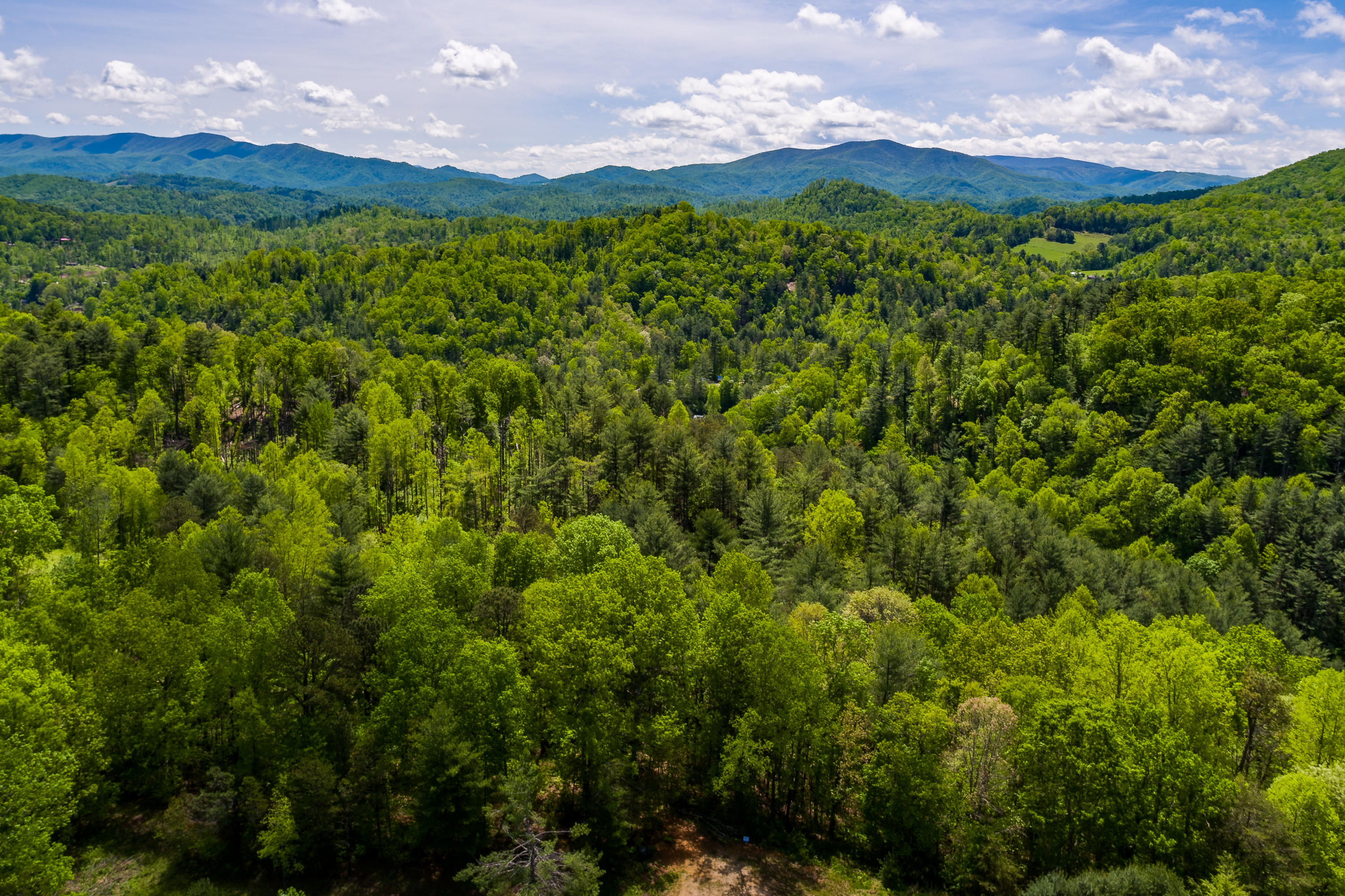 Lot 9 Canaan Road, Unit 9 Butler, TN 37640 - Photo 14 of 31 12