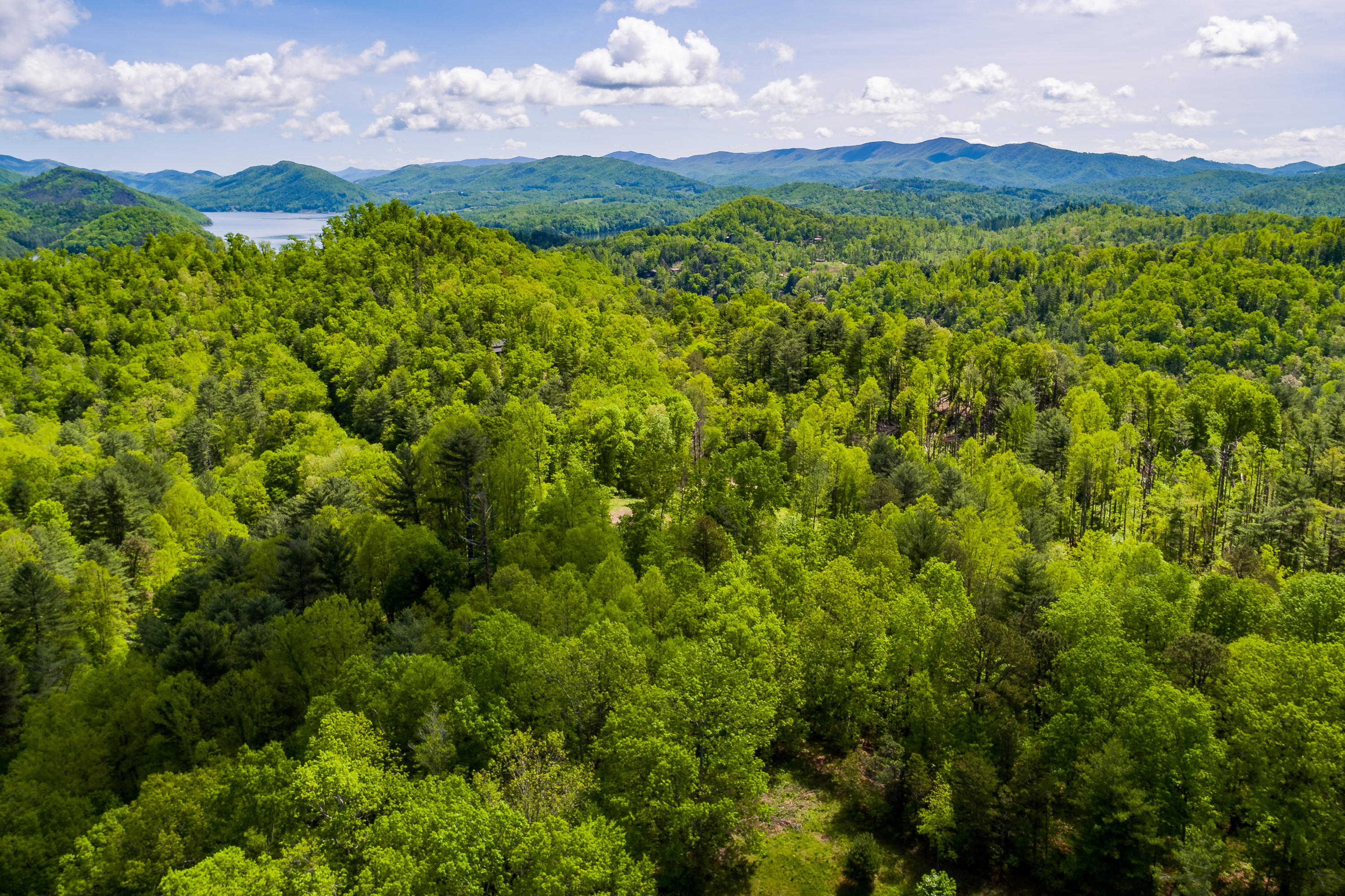 Lot 9 Canaan Road, Unit 9 Butler, TN 37640 - Photo 15 of 31 13