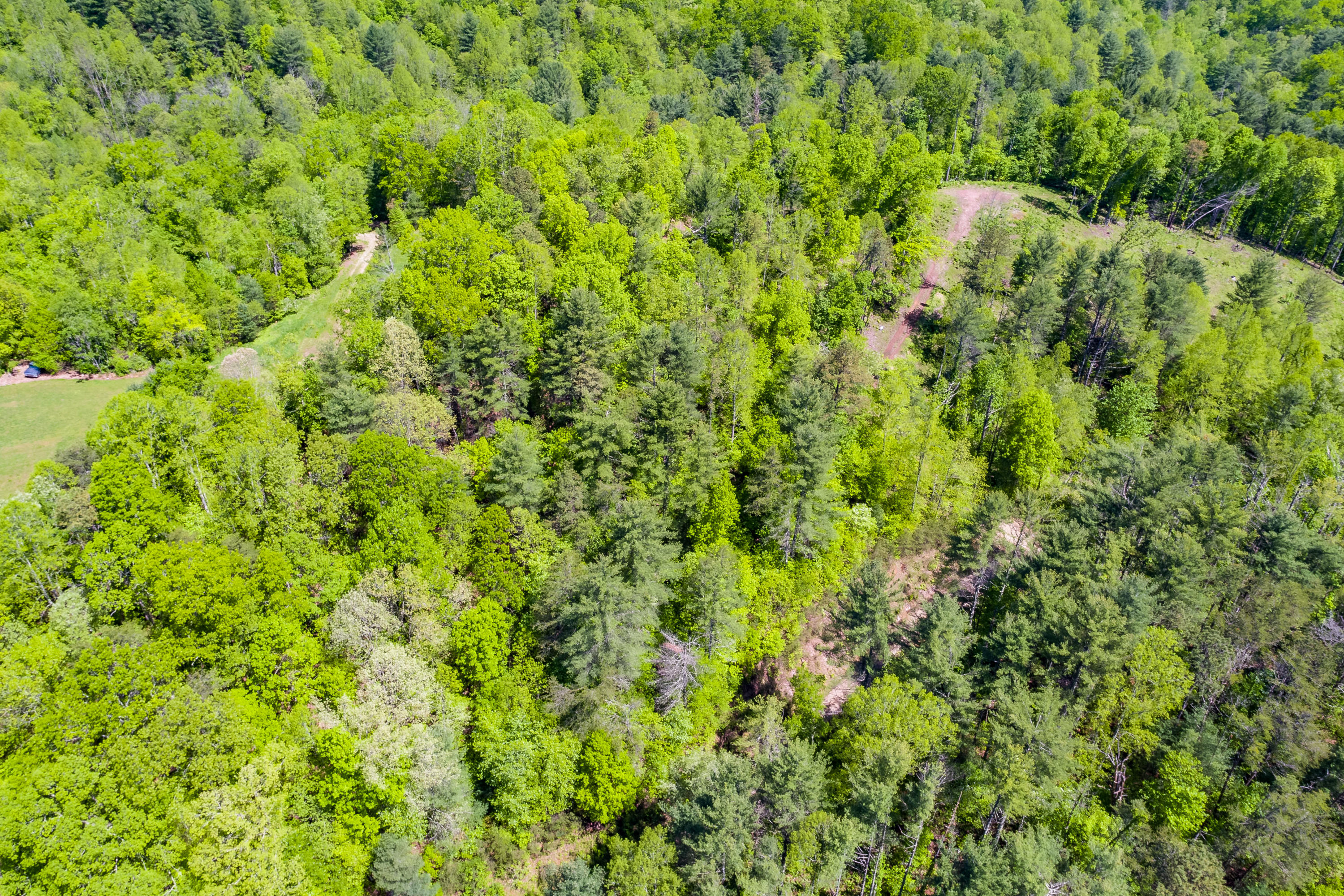 Lot 9 Canaan Road, Unit 9 Butler, TN 37640 - Photo 16 of 31 14