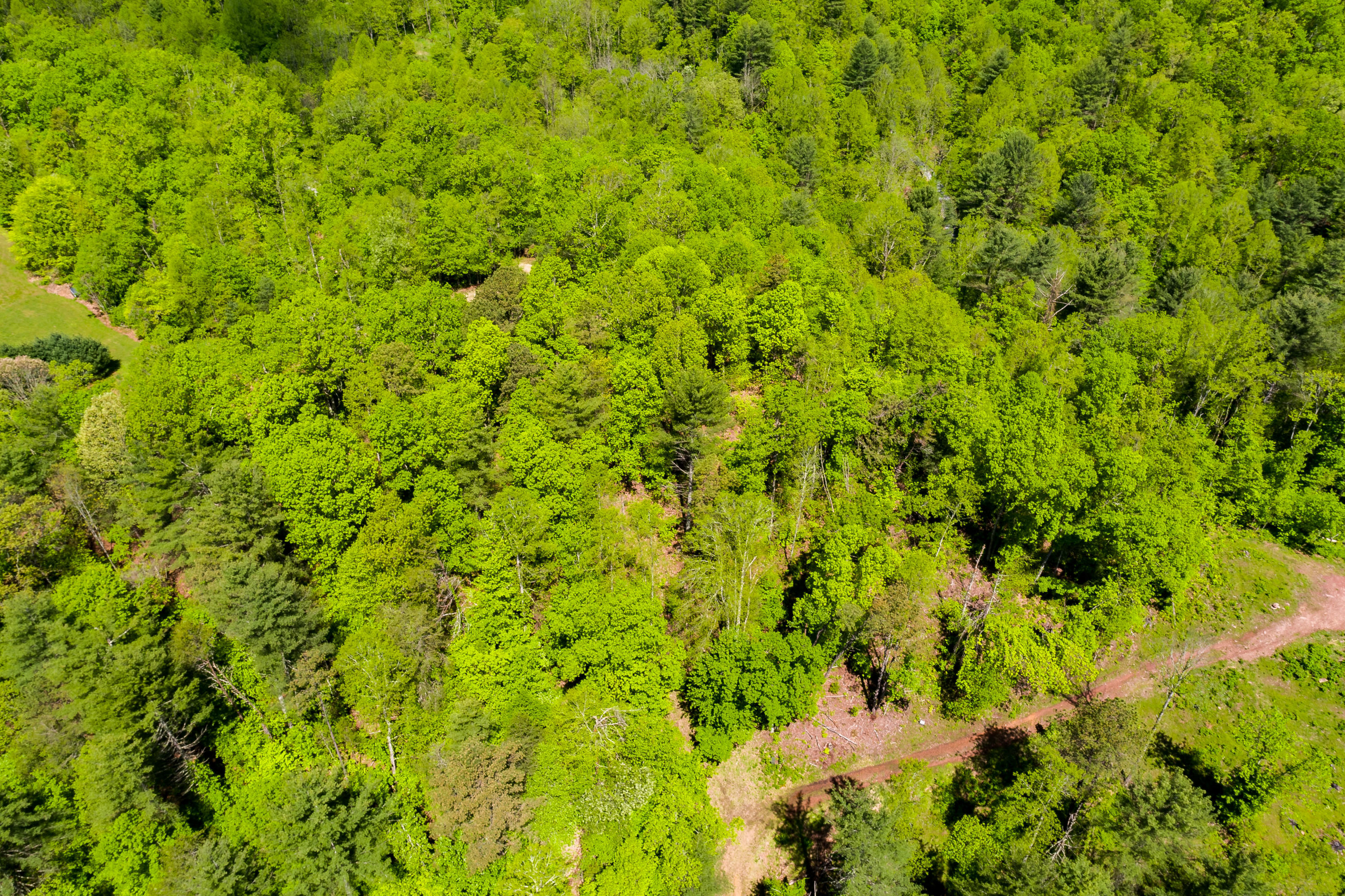 Lot 9 Canaan Road, Unit 9 Butler, TN 37640 - Photo 17 of 31 15