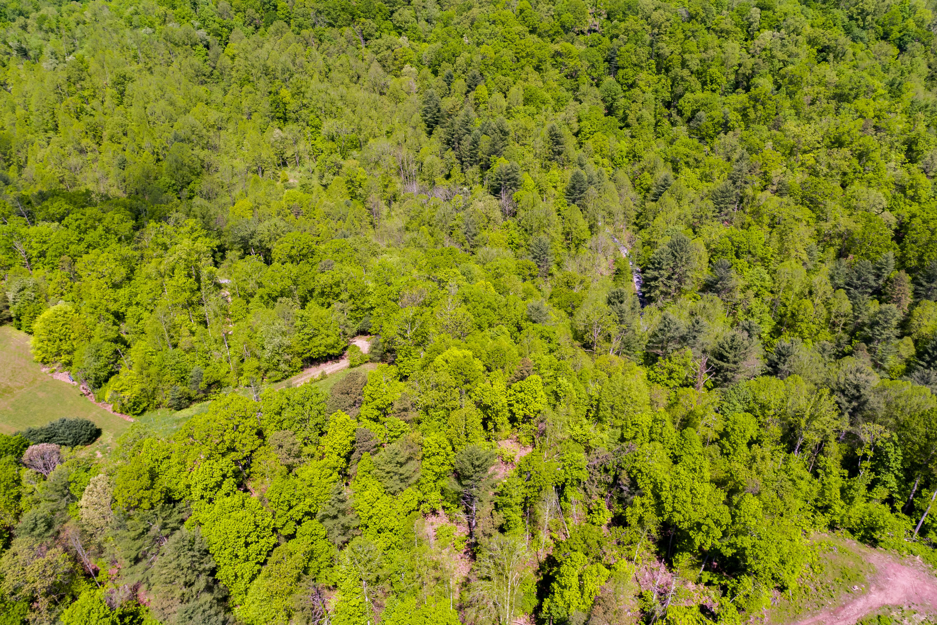 Lot 9 Canaan Road, Unit 9 Butler, TN 37640 - Photo 18 of 31 16