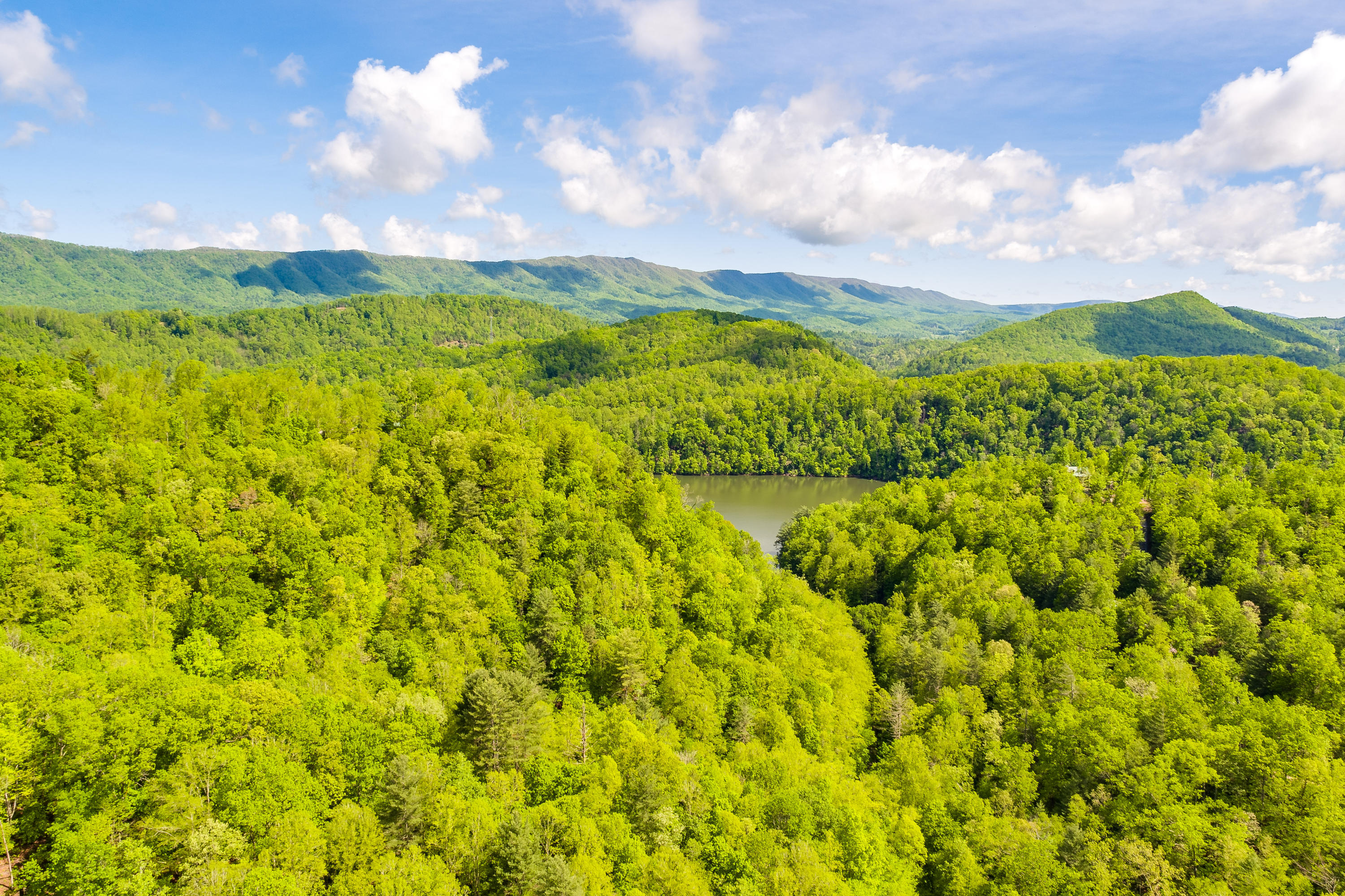 Lot 9 Canaan Road, Unit 9 Butler, TN 37640 - Photo 20 of 31 18