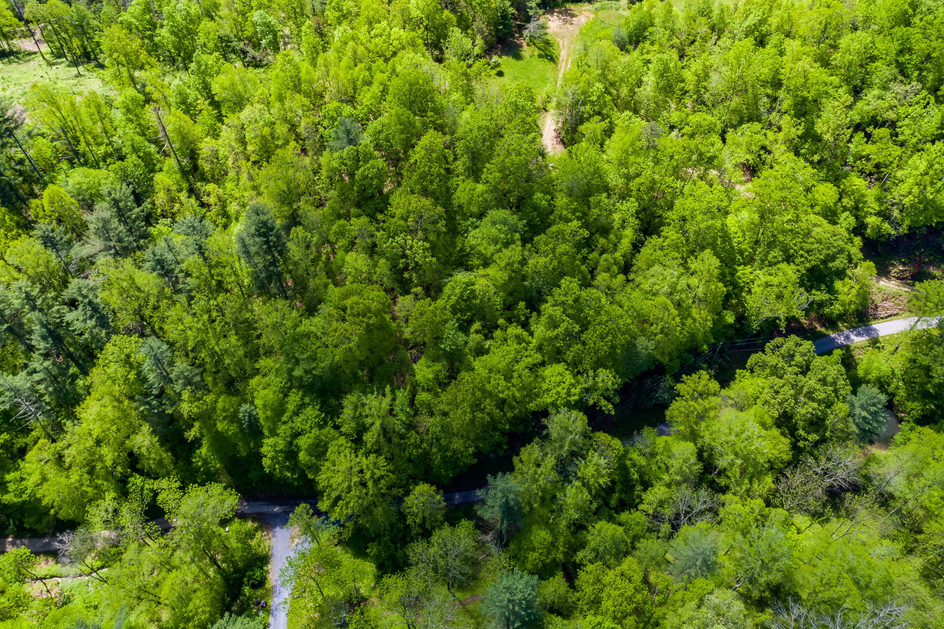 Lot 9 Canaan Road, Unit 9 Butler, TN 37640 - Photo 2 of 31 1.7