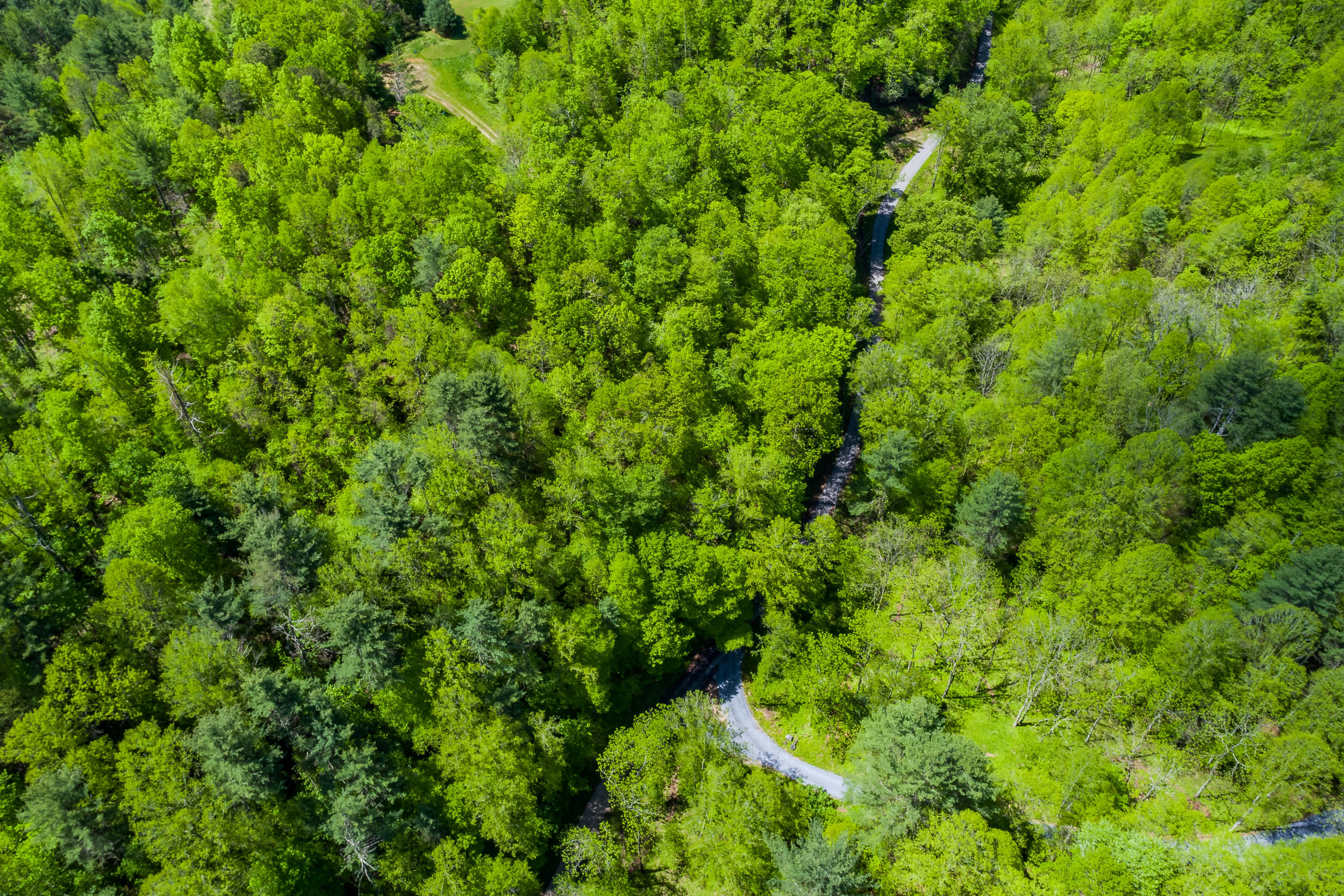 Lot 9 Canaan Road, Unit 9 Butler, TN 37640 - Photo 21 of 31 19