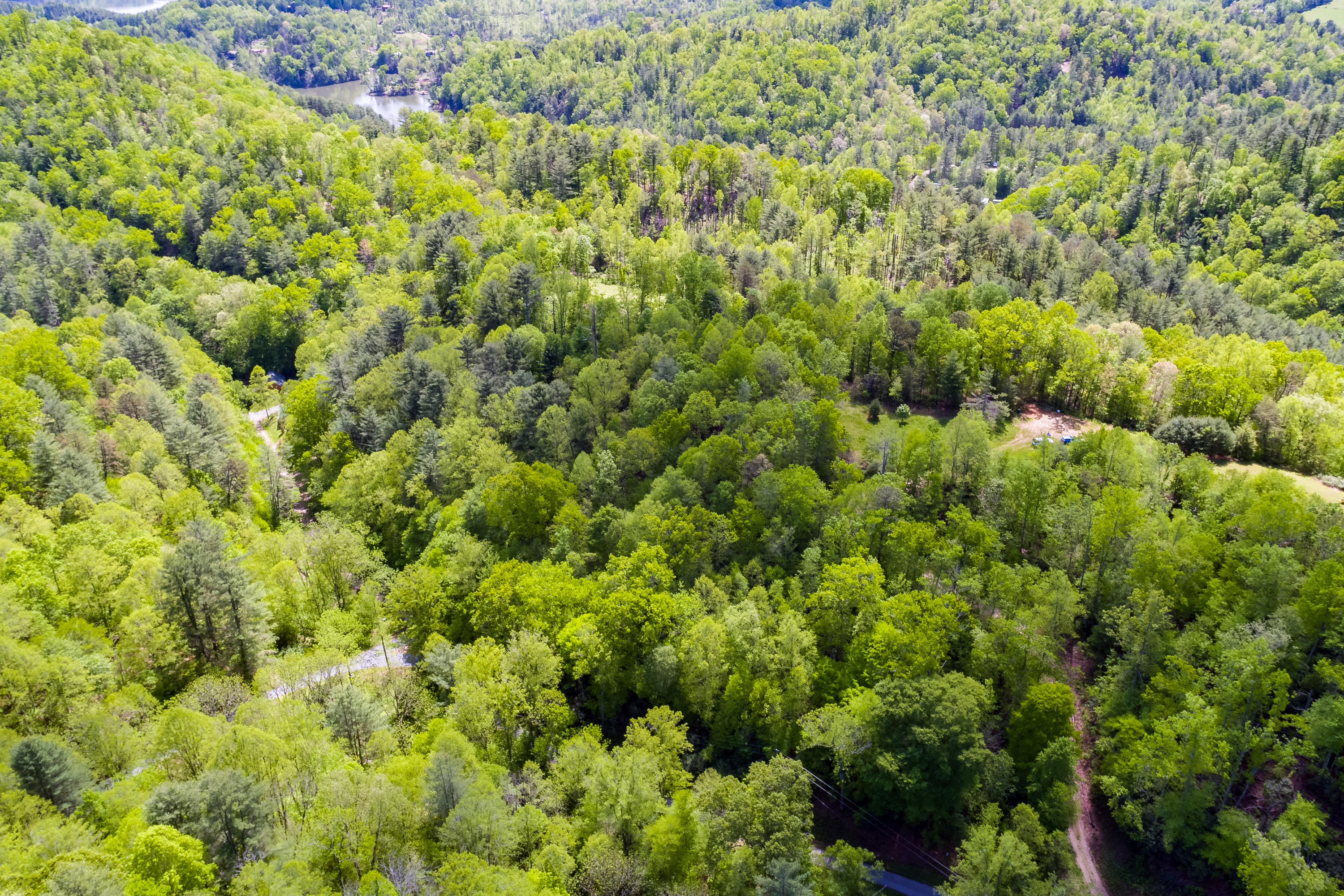 Lot 9 Canaan Road, Unit 9 Butler, TN 37640 - Photo 23 of 31 21