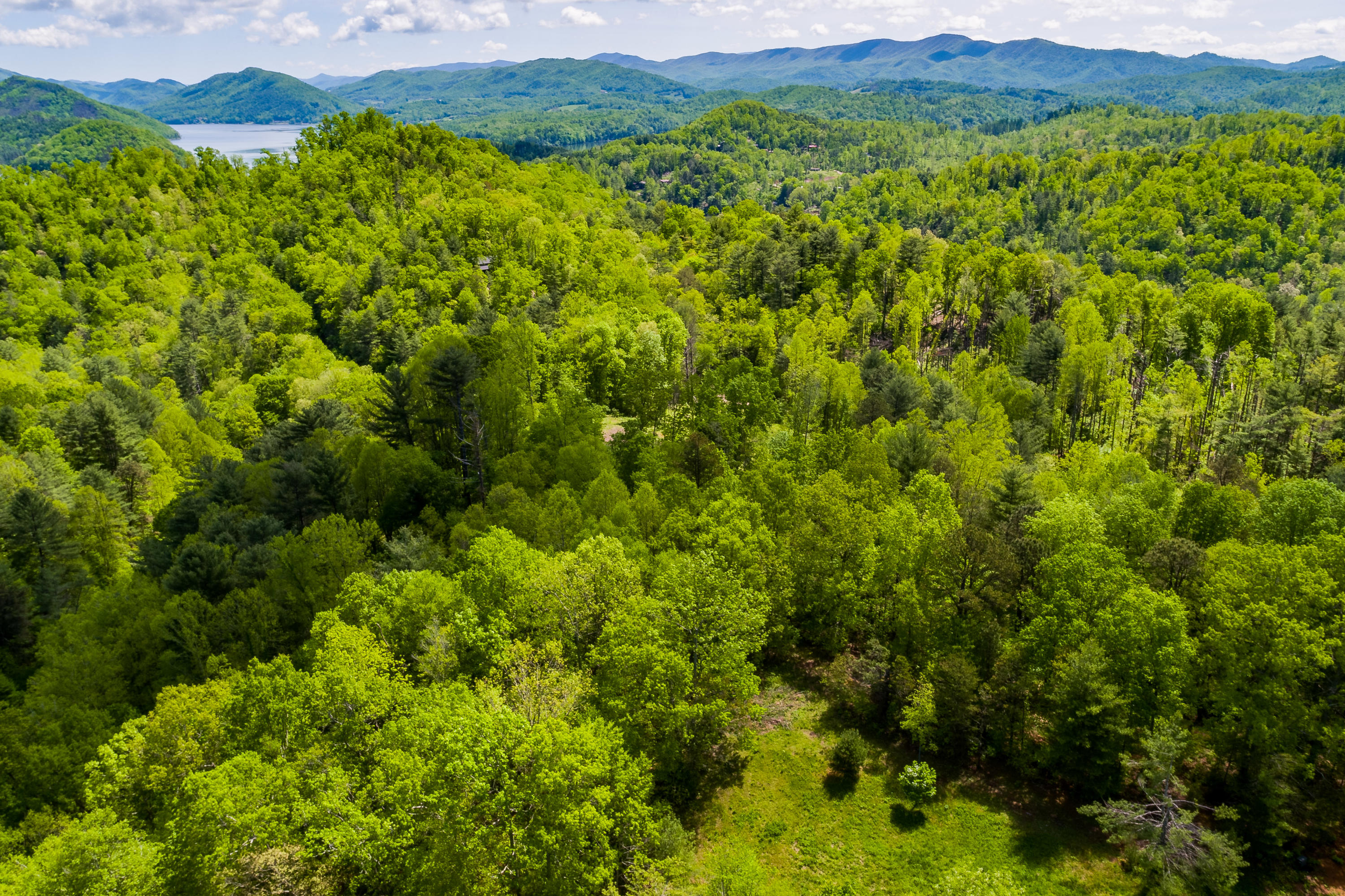 Lot 9 Canaan Road, Unit 9 Butler, TN 37640 - Photo 3 of 31 1