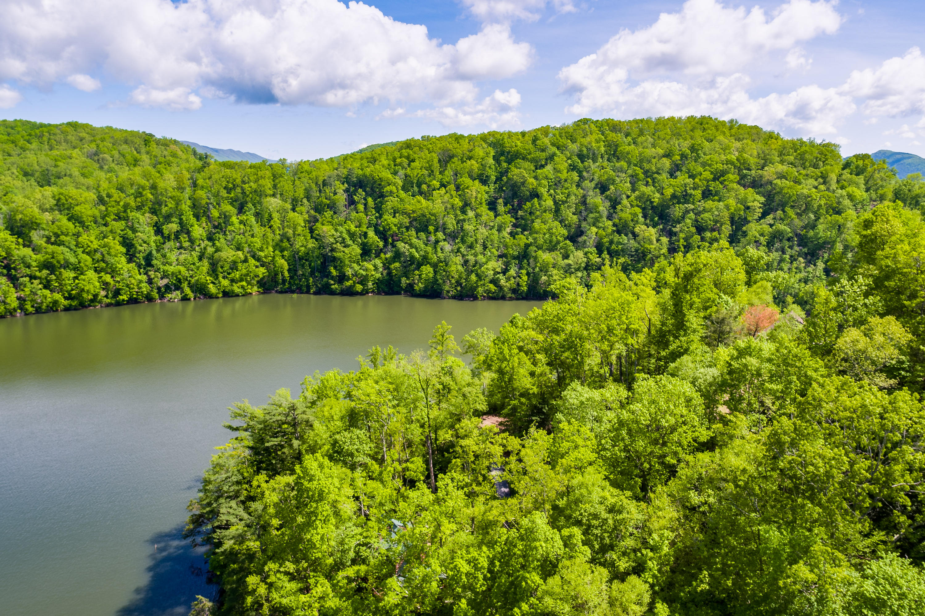 Lot 9 Canaan Road, Unit 9 Butler, TN 37640 - Photo 31 of 31 lake from dock