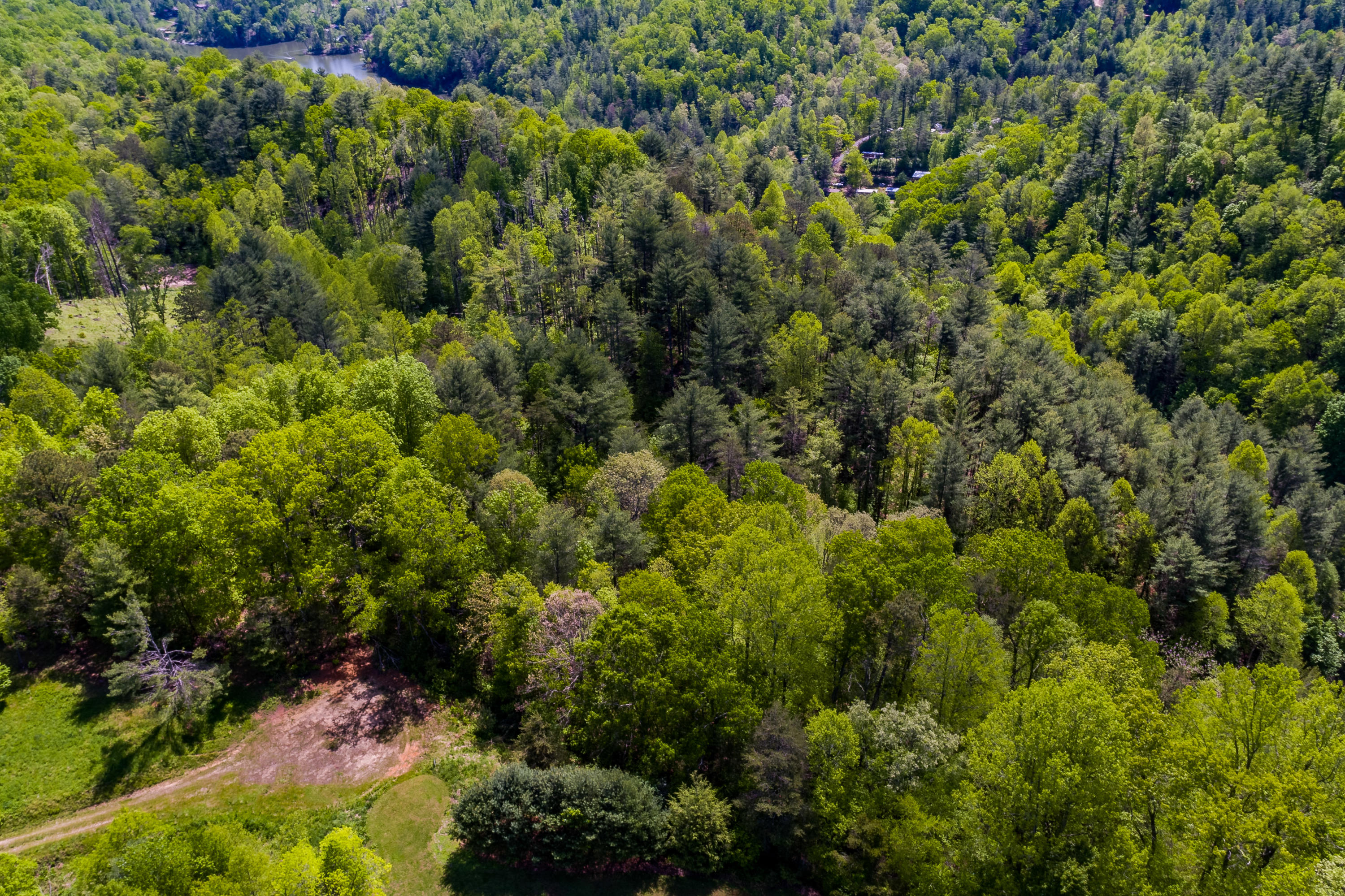 Lot 9 Canaan Road, Unit 9 Butler, TN 37640 - Photo 6 of 31 3