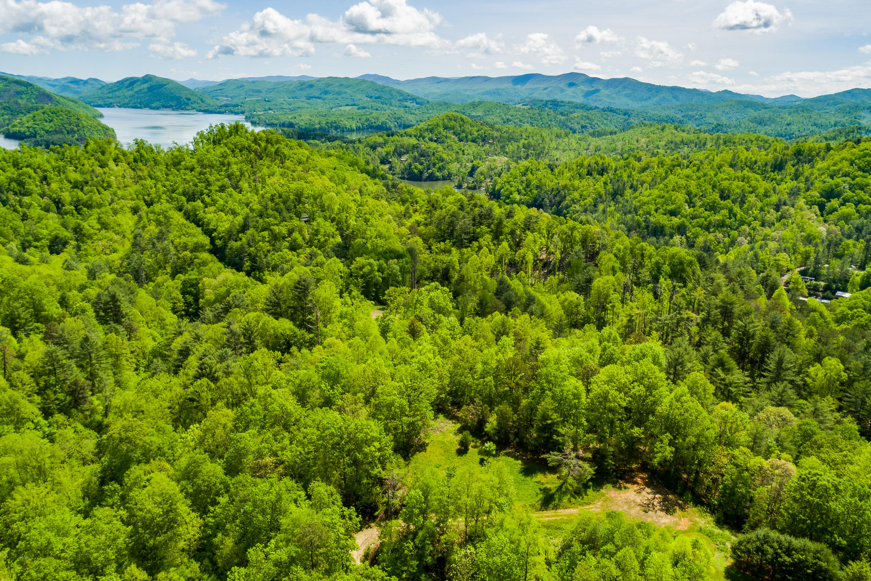 Lot 9 Canaan Road, Unit 9 Butler, TN 37640 - Photo 7 of 31 4