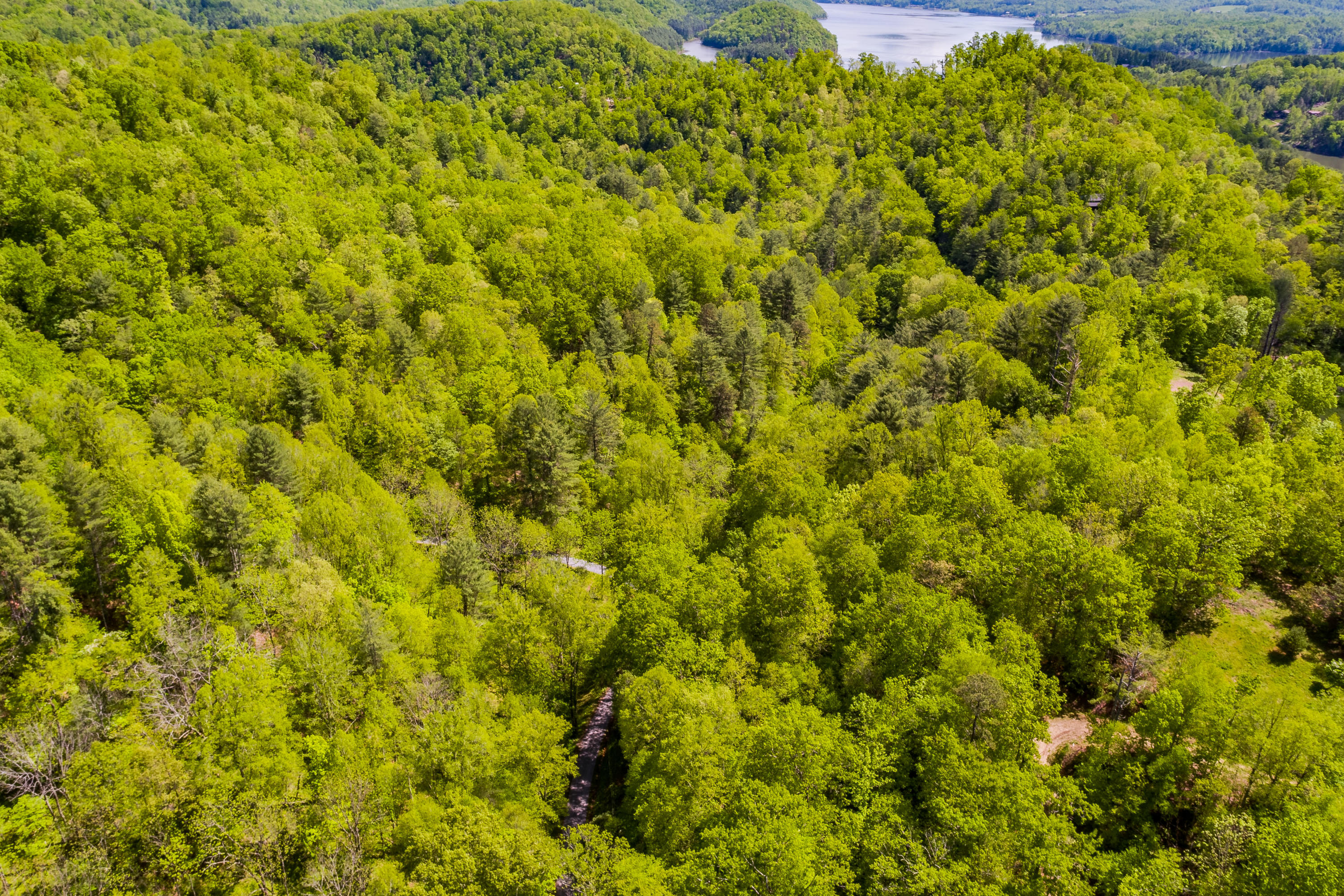 Lot 9 Canaan Road, Unit 9 Butler, TN 37640 - Photo 8 of 31 5